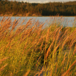 Réservoir Gouin